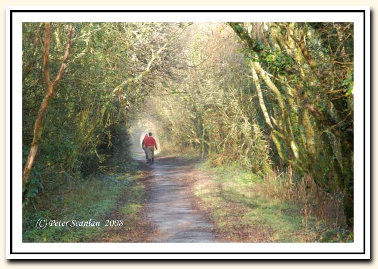 Gearagh, Macroom, Landscape